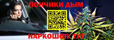молекула духа Будённовск