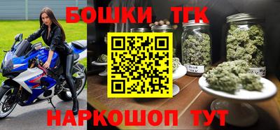 молекула духа Будённовск