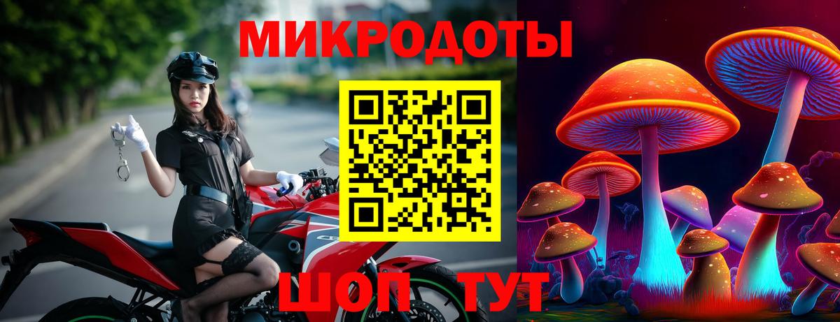 Сосновый Бор  Галлюциногенные грибы мицелий  Вход с VPN  Галлюциногенные грибы прущие грибы 